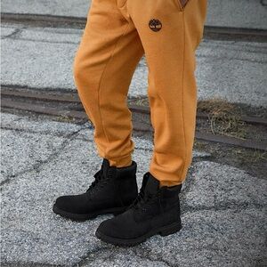 EUC Men's Timberland® Premium 6-Inch Waterproof Boot/ US 12 (black nubuck)